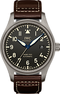 IWC IW327006